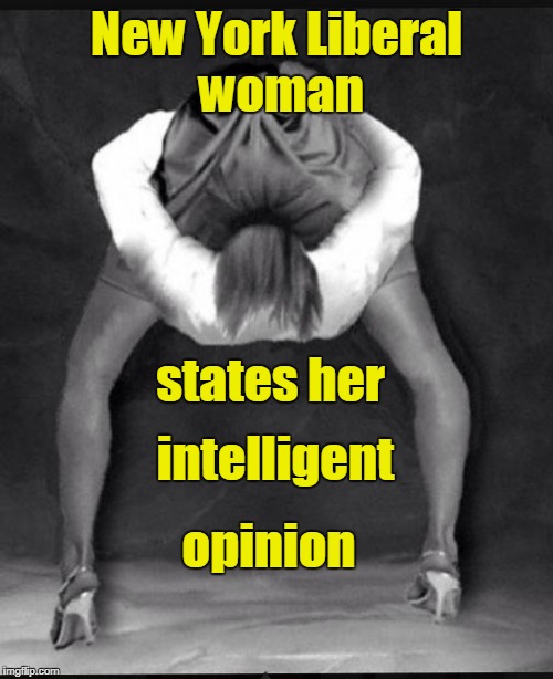 N.Y. Liberal woman states her opinion | New York Liberal woman; states her; opinion; intelligent | image tagged in woman with head up her ass,liberals,opinions | made w/ Imgflip meme maker