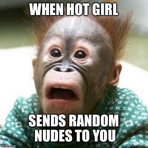 Shocked Monkey | WHEN HOT GIRL; SENDS RANDOM NUDES TO YOU | image tagged in shocked monkey | made w/ Imgflip meme maker