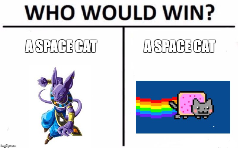 I vote for the space cat :D |  A SPACE CAT; A SPACE CAT | image tagged in memes,who would win | made w/ Imgflip meme maker