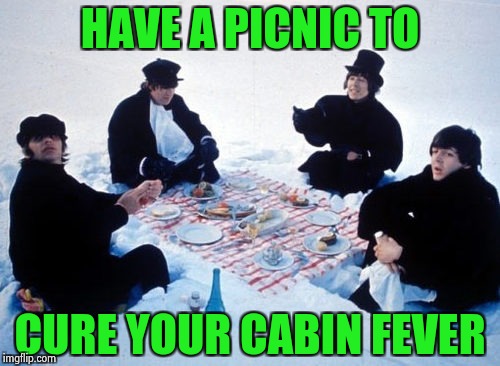 Canadian picnic | HAVE A PICNIC TO CURE YOUR CABIN FEVER | image tagged in canadian picnic | made w/ Imgflip meme maker