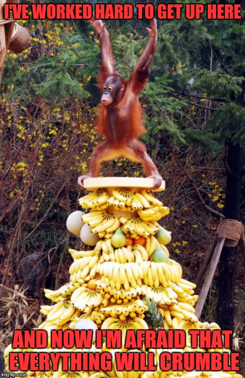 Climbing to the Top | I'VE WORKED HARD TO GET UP HERE; AND NOW I'M AFRAID THAT EVERYTHING WILL CRUMBLE | image tagged in monkey,banana,food chain,survival of the fittest | made w/ Imgflip meme maker