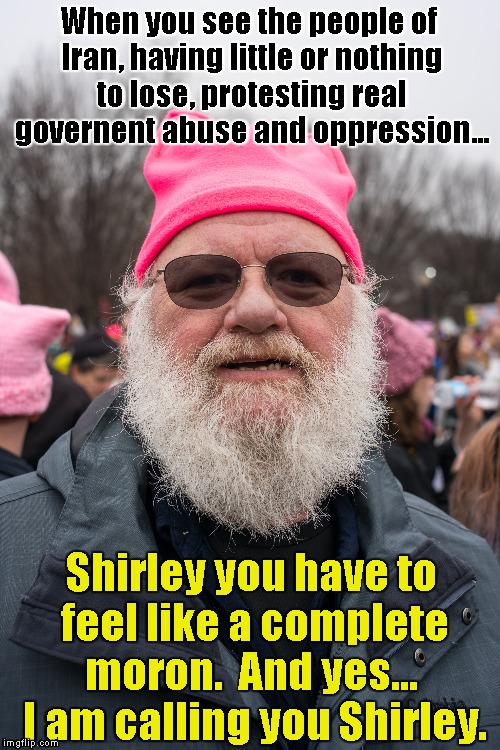 Trying to get laid. |  When you see the people of Iran, having little or nothing to lose, protesting real governent abuse and oppression... Shirley you have to feel like a complete moron.  And yes...  I am calling you Shirley. | image tagged in womens march | made w/ Imgflip meme maker