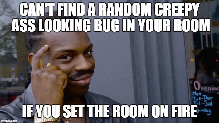 Roll Safe Think About It Meme | CAN'T FIND A RANDOM CREEPY ASS LOOKING BUG IN YOUR ROOM; IF YOU SET THE ROOM ON FIRE | image tagged in memes,roll safe think about it | made w/ Imgflip meme maker