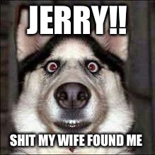 JERRY!! SHIT MY WIFE FOUND ME | image tagged in merp | made w/ Imgflip meme maker