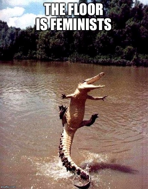 Smart croc | THE FLOOR IS FEMINISTS | image tagged in the,floor,is,feminists | made w/ Imgflip meme maker