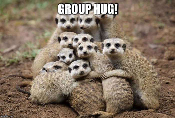 Animals Hugging |  GROUP HUG! | image tagged in animals hugging | made w/ Imgflip meme maker