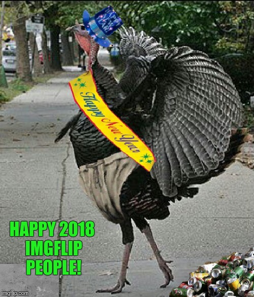 Happy New Year!!! | HAPPY 2018 IMGFLIP PEOPLE! | image tagged in happy new year,funny meme,happy new year,new years | made w/ Imgflip meme maker