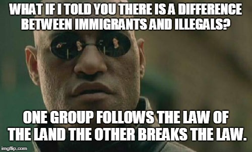 Matrix Morpheus Meme | WHAT IF I TOLD YOU THERE IS A DIFFERENCE BETWEEN IMMIGRANTS AND ILLEGALS? ONE GROUP FOLLOWS THE LAW OF THE LAND THE OTHER BREAKS THE LAW. | image tagged in memes,matrix morpheus | made w/ Imgflip meme maker