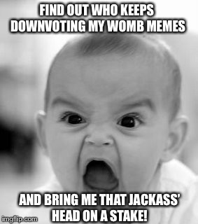 Angry Baby Meme | FIND OUT WHO KEEPS DOWNVOTING MY WOMB MEMES; AND BRING ME THAT JACKASS’ HEAD ON A STAKE! | image tagged in memes,angry baby | made w/ Imgflip meme maker