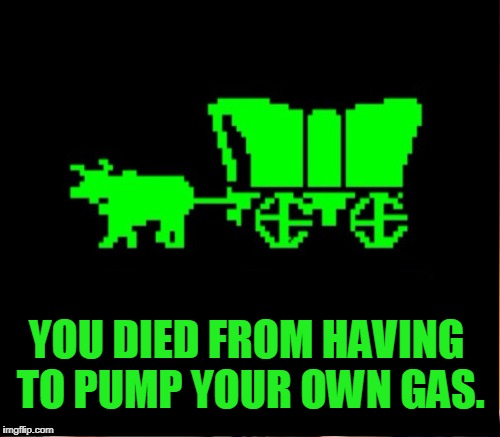 YOU DIED FROM HAVING TO PUMP YOUR OWN GAS. | made w/ Imgflip meme maker