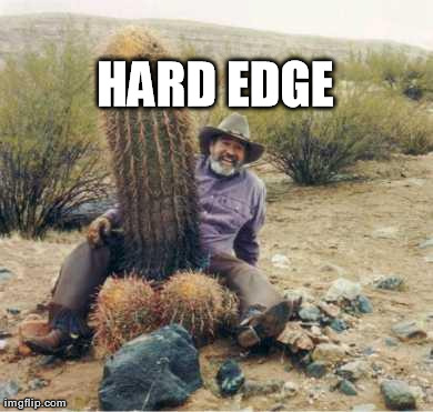 HARD EDGE | image tagged in funny,cactus,nature | made w/ Imgflip meme maker