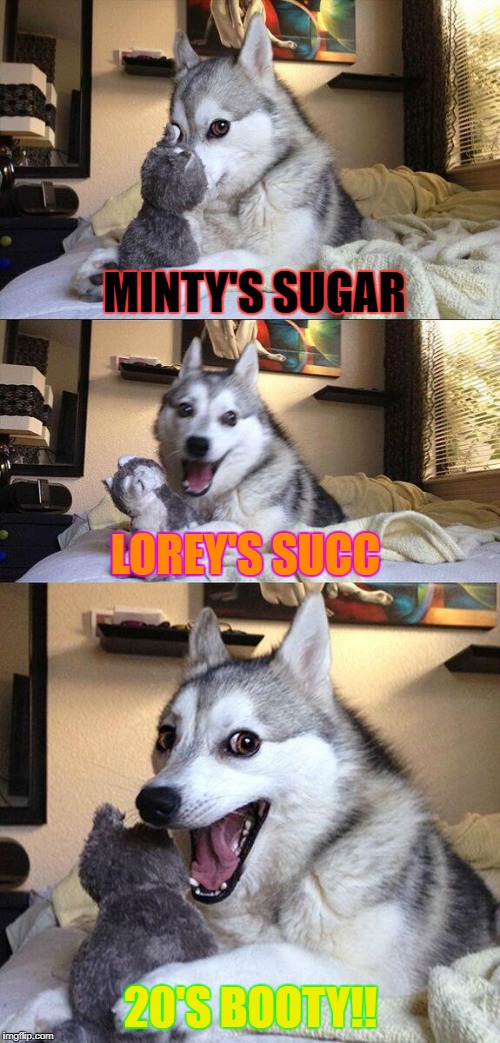 Bad Pun Dog Meme | MINTY'S SUGAR; LOREY'S SUCC; 20'S BOOTY!! | image tagged in memes,bad pun dog | made w/ Imgflip meme maker