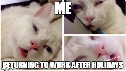 Returning to work | ME; RETURNING TO WORK AFTER HOLIDAYS | image tagged in cats | made w/ Imgflip meme maker