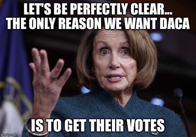 Good old Nancy Pelosi | LET'S BE PERFECTLY CLEAR... THE ONLY REASON WE WANT DACA; IS TO GET THEIR VOTES | image tagged in good old nancy pelosi | made w/ Imgflip meme maker