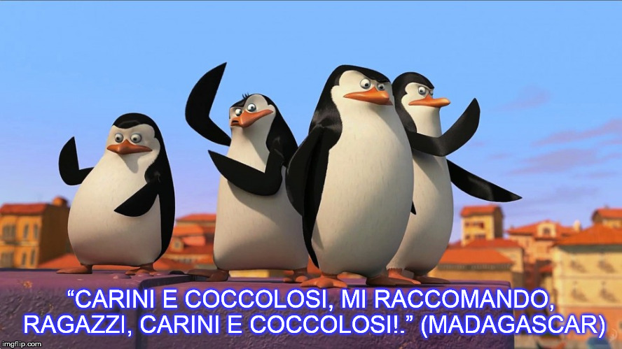 “CARINI E COCCOLOSI, MI RACCOMANDO, RAGAZZI, CARINI E COCCOLOSI!.” (MADAGASCAR) | made w/ Imgflip meme maker