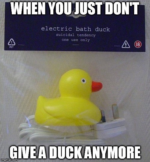 Duck yeah | WHEN YOU JUST DON'T; GIVE A DUCK ANYMORE | image tagged in duck,bath,electric,quack | made w/ Imgflip meme maker