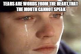It's Beautiful | TEARS ARE WORDS FROM THE HEART,THAT THE MOUTH CANNOT SPEAK | image tagged in it's beautiful | made w/ Imgflip meme maker