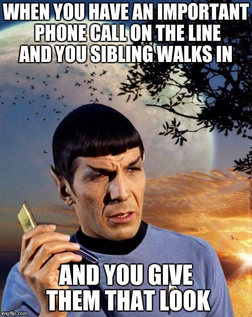 spock phone | WHEN YOU HAVE AN IMPORTANT PHONE CALL ON THE LINE AND YOU SIBLING WALKS IN; AND YOU GIVE THEM THAT LOOK | image tagged in spock phone | made w/ Imgflip meme maker