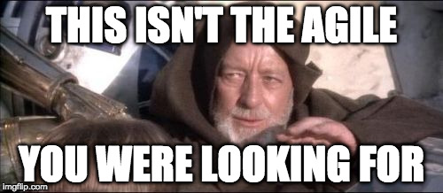 These Aren't The Droids You Were Looking For Meme | THIS ISN'T THE AGILE; YOU WERE LOOKING FOR | image tagged in memes,these arent the droids you were looking for | made w/ Imgflip meme maker