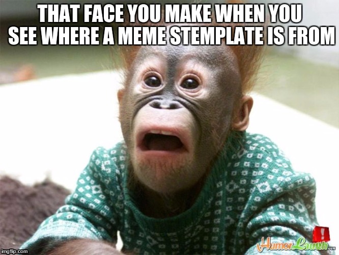 THAT FACE YOU MAKE WHEN YOU SEE WHERE A MEME STEMPLATE IS FROM | image tagged in monkey | made w/ Imgflip meme maker