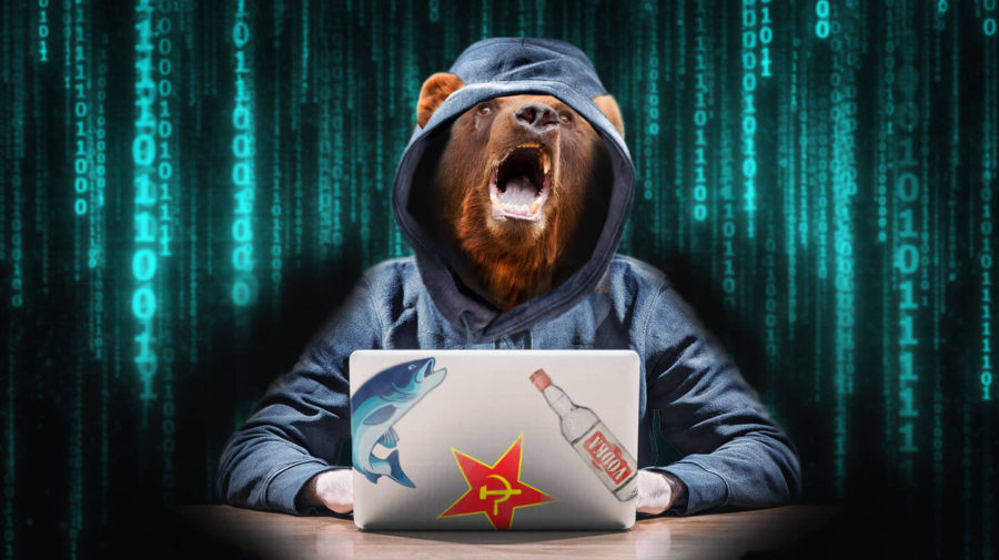 High Quality Russian Hacker Bear Blank Meme Template
