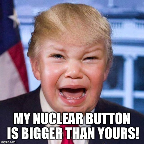 Toddler In Chief | MY NUCLEAR BUTTON IS BIGGER THAN YOURS! | image tagged in donald trump,kim jong un,nuclear power | made w/ Imgflip meme maker