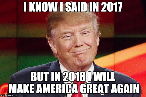 Donal Trump Face |  I KNOW I SAID IN 2017; BUT IN 2018 I WILL MAKE AMERICA GREAT AGAIN | image tagged in donal trump face | made w/ Imgflip meme maker