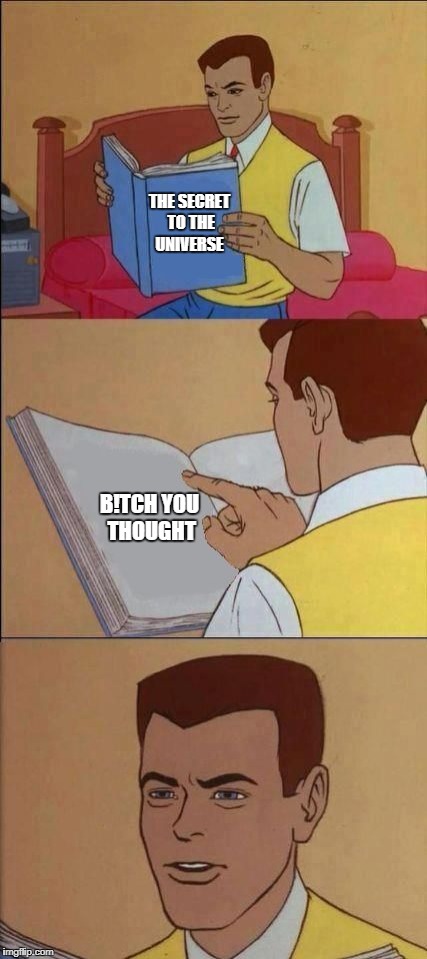 Book of Idiots | THE SECRET TO THE UNIVERSE; B!TCH YOU THOUGHT | image tagged in book of idiots | made w/ Imgflip meme maker