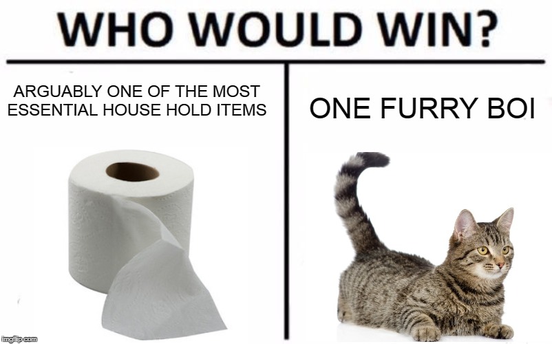 Who Would Win? Meme | ARGUABLY ONE OF THE MOST ESSENTIAL HOUSE HOLD ITEMS ONE FURRY BOI | image tagged in memes,who would win | made w/ Imgflip meme maker