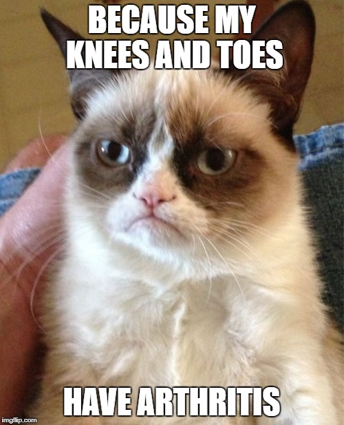 Grumpy Cat Meme | BECAUSE MY KNEES AND TOES HAVE ARTHRITIS | image tagged in memes,grumpy cat | made w/ Imgflip meme maker