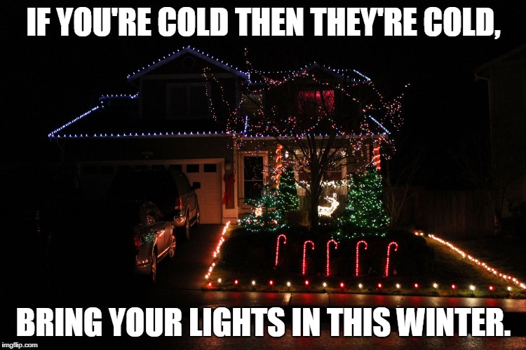 If you're cold... | IF YOU'RE COLD THEN THEY'RE COLD, BRING YOUR LIGHTS IN THIS WINTER. | image tagged in christmas memes | made w/ Imgflip meme maker