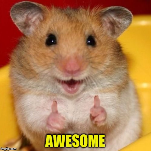 Two Thumbs Up | AWESOME | image tagged in two thumbs up | made w/ Imgflip meme maker