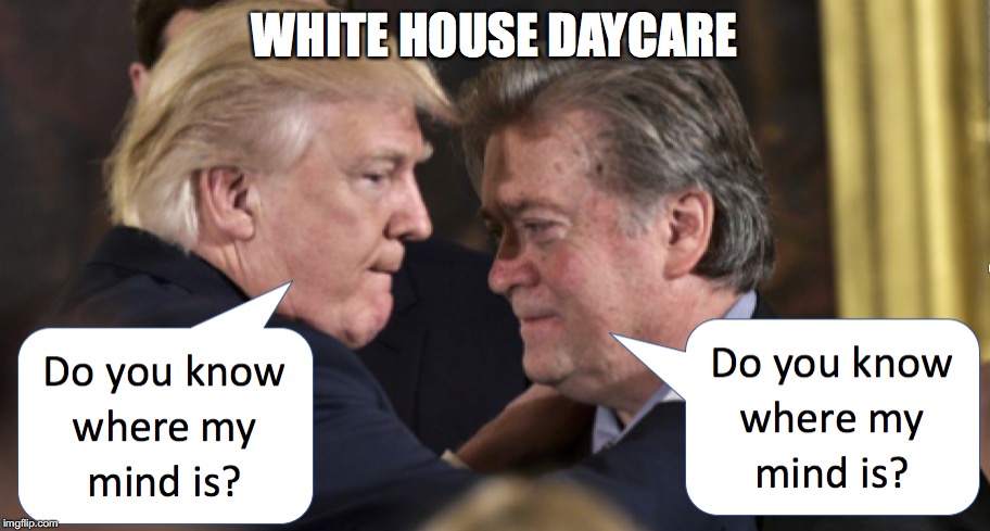 These Are the People Conservatives have Running the Nation | WHITE HOUSE DAYCARE | image tagged in donald trump | made w/ Imgflip meme maker