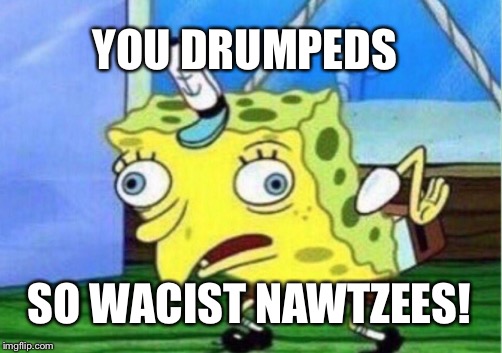 Mocking Spongebob | YOU DRUMPEDS; SO WACIST NAWTZEES! | image tagged in memes,mocking spongebob,liberals,president trump,liberal logic,antifa | made w/ Imgflip meme maker