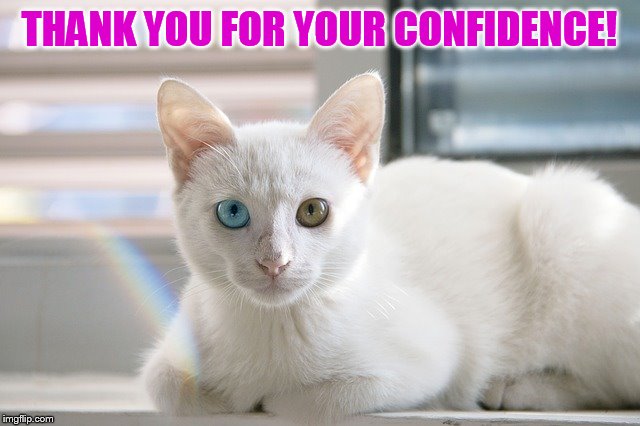 THANK YOU FOR YOUR CONFIDENCE! | made w/ Imgflip meme maker