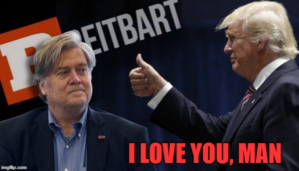 Bromance Gone Bad | I LOVE YOU, MAN | image tagged in trump,steve bannon,fire and fury | made w/ Imgflip meme maker