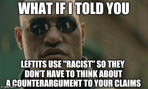 Matrix Morpheus Meme | WHAT IF I TOLD YOU LEFTITS USE "RACIST" SO THEY DON'T HAVE TO THINK ABOUT A COUNTERARGUMENT TO YOUR CLAIMS | image tagged in memes,matrix morpheus | made w/ Imgflip meme maker