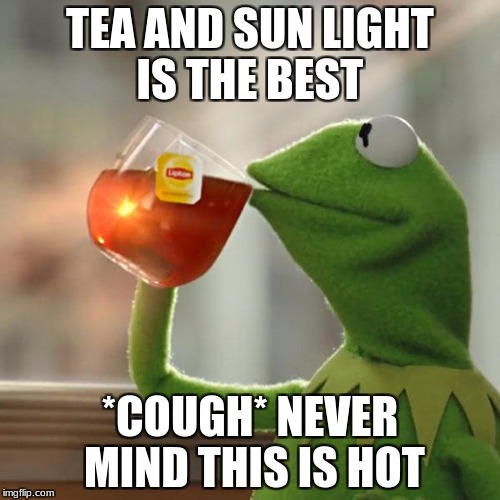 But That's None Of My Business Meme |  TEA AND SUN LIGHT IS THE BEST; *COUGH* NEVER MIND THIS IS HOT | image tagged in memes,but thats none of my business,kermit the frog | made w/ Imgflip meme maker