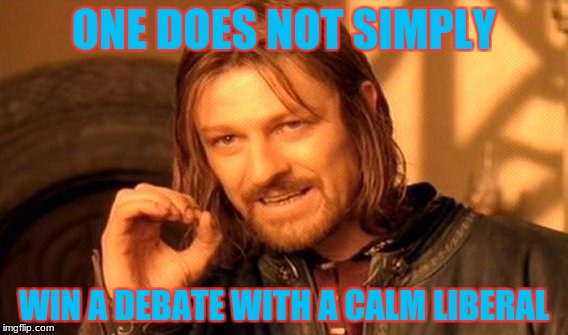 Debating a Brick Wall | ONE DOES NOT SIMPLY; WIN A DEBATE WITH A CALM LIBERAL | image tagged in memes,one does not simply | made w/ Imgflip meme maker