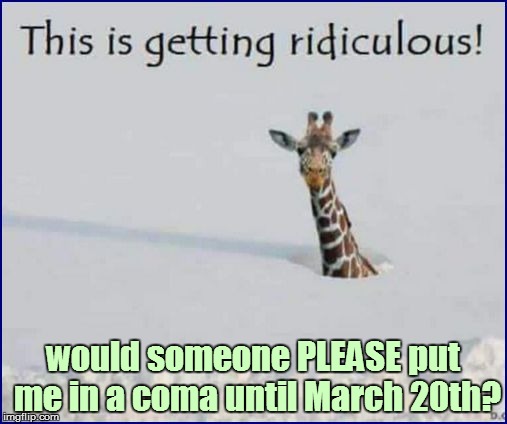 Yes, I'm sick of snow already! | would someone PLEASE put me in a coma until March 20th? | image tagged in funny | made w/ Imgflip meme maker