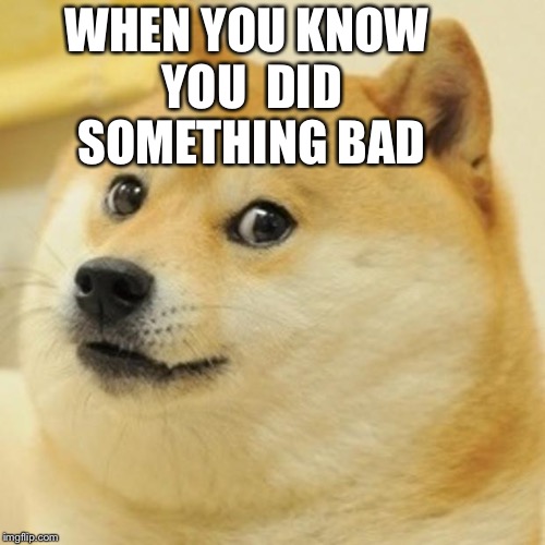 doge did that | WHEN YOU KNOW YOU  DID SOMETHING BAD | image tagged in memes,doge | made w/ Imgflip meme maker