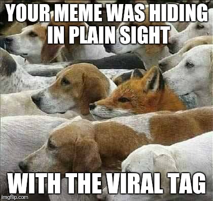 Fox and Foxhounds | YOUR MEME WAS HIDING IN PLAIN SIGHT WITH THE VIRAL TAG | image tagged in fox and foxhounds | made w/ Imgflip meme maker