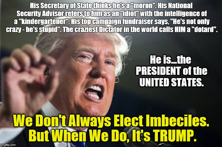 Trump: We Don't Always Elect Imbeciles | His Secretary of State thinks he's a "moron". His National Security Advisor refers to him as an "idiot" with the intelligence of a "kindergartener". His top campaign fundraiser says, "He's not only crazy - he's stupid". The craziest Dictator in the world calls HIM a "dotard". He is...the PRESIDENT of the UNITED STATES. We Don't Always Elect Imbeciles. But When We Do, It's TRUMP. | image tagged in donald trump | made w/ Imgflip meme maker