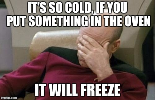 Captain Picard Facepalm | IT'S SO COLD, IF YOU PUT SOMETHING IN THE OVEN; IT WILL FREEZE | image tagged in memes,captain picard facepalm | made w/ Imgflip meme maker