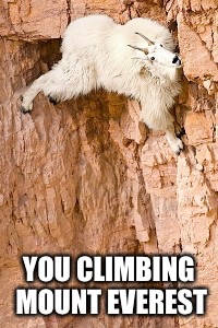 goat rock climbing | YOU CLIMBING MOUNT EVEREST | image tagged in goat rock climbing | made w/ Imgflip meme maker