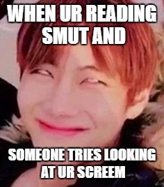 memeabe bts | WHEN UR READING SMUT AND; SOMEONE TRIES LOOKING AT UR SCREEM | image tagged in memeabe bts | made w/ Imgflip meme maker