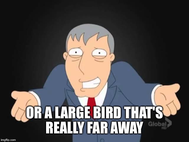 OR A LARGE BIRD THAT'S REALLY FAR AWAY | made w/ Imgflip meme maker