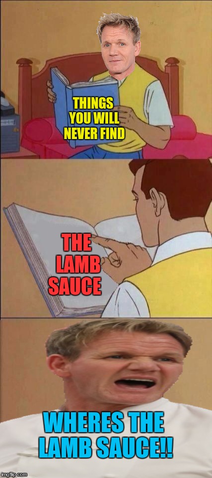 Book of Idiots | THINGS YOU WILL NEVER FIND; THE LAMB SAUCE; WHERES THE LAMB SAUCE!! | image tagged in book of idiots,chef gordon ramsay,lamb sauce | made w/ Imgflip meme maker