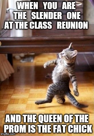 Cool Cat Stroll Meme | WHEN   YOU   ARE  THE   SLENDER   ONE  AT THE CLASS   REUNION; AND THE QUEEN OF THE PROM IS THE FAT CHICK | image tagged in memes,cool cat stroll | made w/ Imgflip meme maker