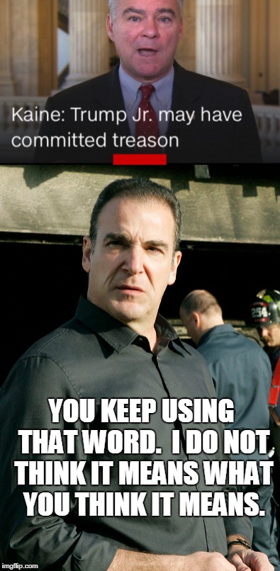 Mandy Patinkin weighs in on anti-Trump politics | YOU KEEP USING THAT WORD.  I DO NOT THINK IT MEANS WHAT YOU THINK IT MEANS. | image tagged in picture,politics,inigo montoya,treason,trump | made w/ Imgflip meme maker